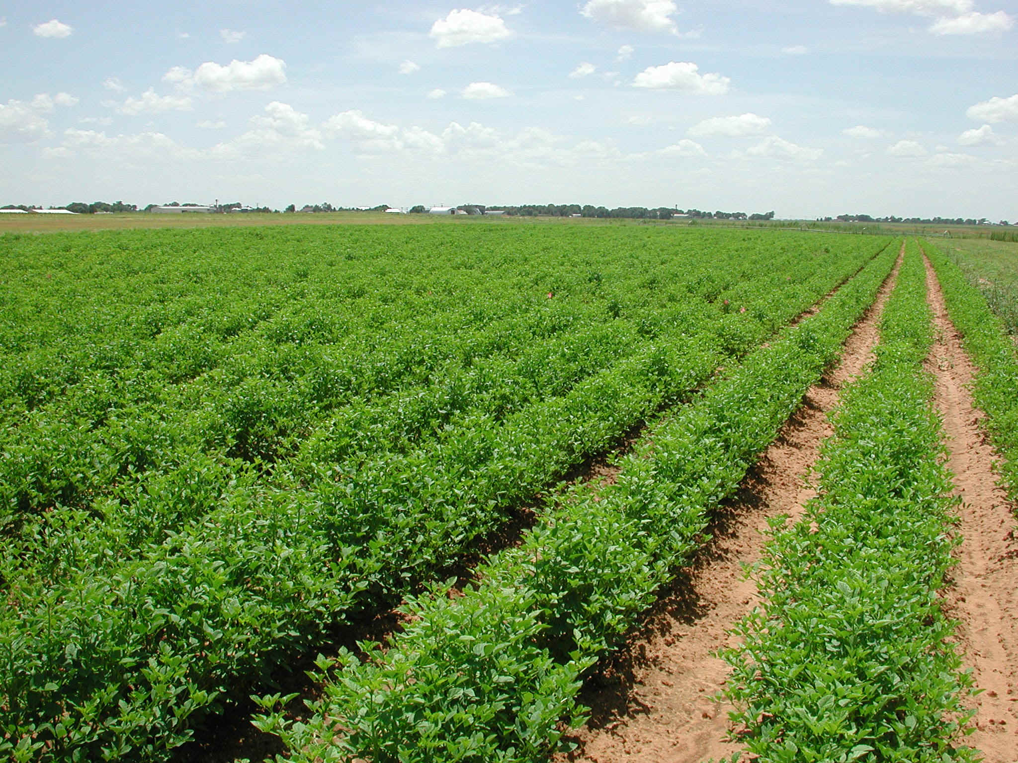 Read news item: Farmers Produced Less in 2011