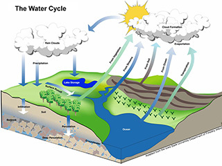 The Water Cycle 2