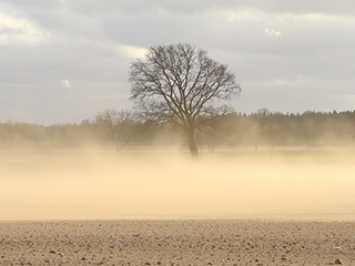 Dusty landscape