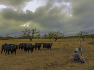 A new network of sensors in the bone-dry Texas hill country will produce detailed data on soil moisture -- when there is any. While verifying the measurements of NASA