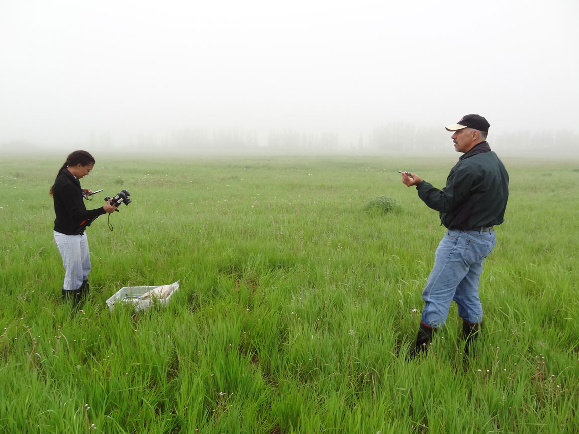 Rachel and Paul starting to take vegetation data.