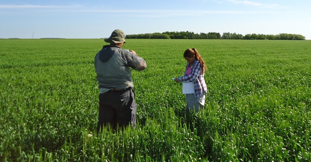 Vegetation Sampling