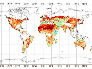 Global Near-Real-Time Monitoring of Soil Moisture